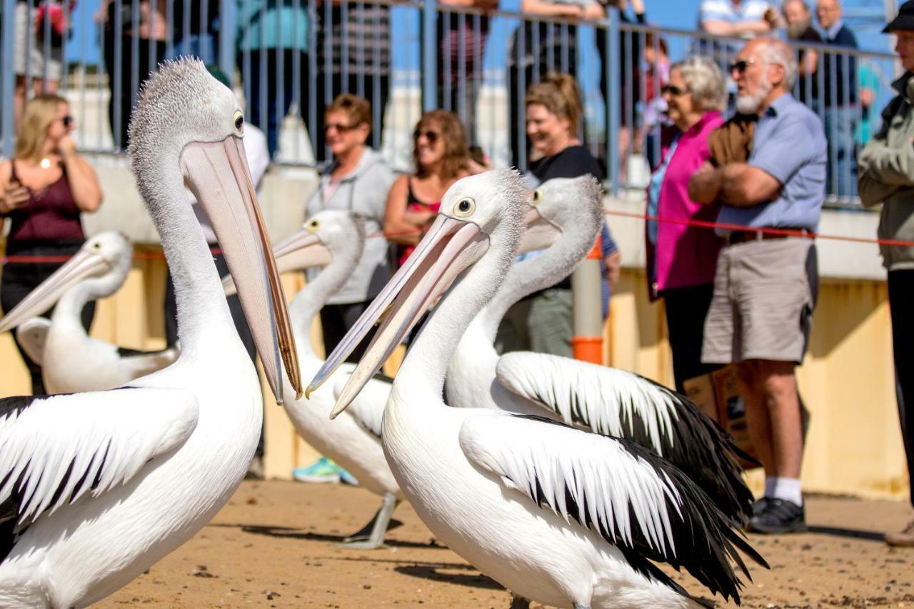 Big4 Ingenia Holidays Phillip Island Newhaven Esterno foto